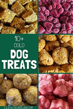 different types of dog treats with the words, 10 + cold dog treats