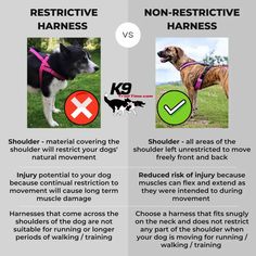 the differences between non - restricted and non - restrictive harnesses for dogs are shown