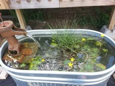 a bucket filled with water and plants next to a bench