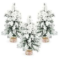 three snow covered trees in small vases