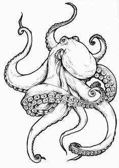 an ink drawing of an octopus with tentacles on it's back and head in the middle