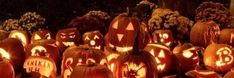 many carved pumpkins with faces on them