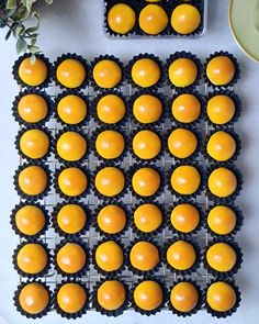 an arrangement of oranges in trays on a table