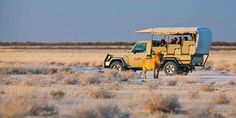 11 Wildlife Park Do’s & Don’ts in Namibia || Etosha App - Namibia Wildlife Safari, Habitat