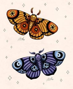 two moths with different colors and designs on them