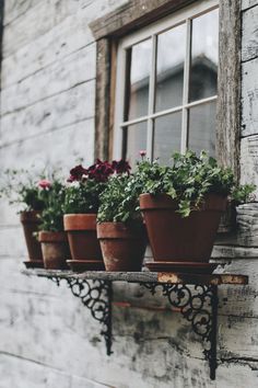 three potted plants are sitting on a window sill in front of a brick wall