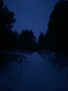 an empty road in the woods at night with trees on either side and dark blue sky above