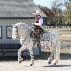 a man riding on the back of a white horse in front of a gray building