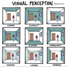 the stages of visual perception