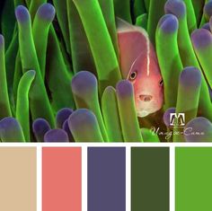 the color scheme is green and purple, with an orange fish peeking out from between some sea anemones