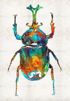 the colorful beetle is standing on its hind legs