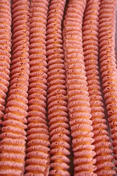 closeup of pink and orange spirals on display in a store window or shop