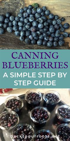 blueberries with the words canning blueberries on it and an image of some blueberries in