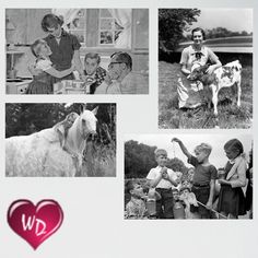 black and white photograph of children with farm animals in front of them, including a heart