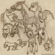 a drawing of many different horses and donkeys with their faces drawn in pencil on paper