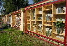 a row of wooden shelves filled with potted plants on top of grass covered ground