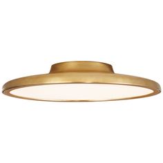 an image of a brass finish ceiling light