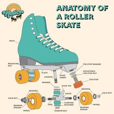 the anatomy of a roller skate