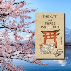 a cat sitting on top of a wooden chair next to a tree with pink flowers