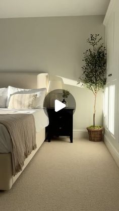 a bedroom with a bed, nightstand and plant in the corner on the carpeted floor