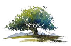 a watercolor painting of a tree on a hill