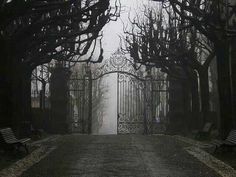 an open gate in the middle of a road with trees and bushes on either side