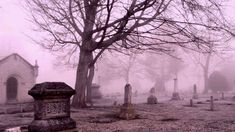 an old cemetery with tombstones and trees in the fog