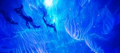 Posts tagged with #avatar the way of water Way Of The Water Avatar, Mermaid Gif, Water Avatar, Avatar Gif, Avatar The Way Of Water, Avatar Movie, Planet Of The Apes, Iphone Background, Beautiful World