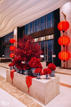 red flowers are in vases on display at the entrance to a building with chinese lanterns