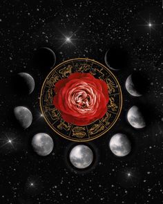 a rose surrounded by seven phases of the moon in gold and black with stars around it