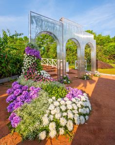 the garden has many different types of flowers and plants in it, including purple and white