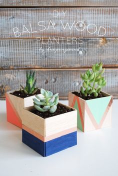 two small wooden planters with succulents in them