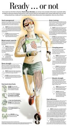 the anatomy of a running man with instructions on how to run and what to do