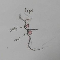 a drawing of a woman's body with the words lips and pony round on it