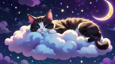 a cat sleeping on top of a cloud in the sky