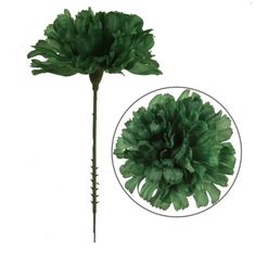 a large green flower is shown in front of a white background with the words pack of 100