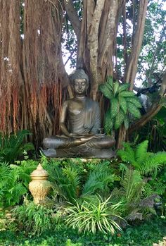 a buddha statue sitting in the middle of a lush green garden surrounded by trees and plants