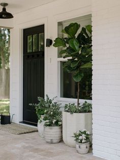 three potted plants are sitting on the front porch