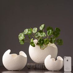 three white vases with plants in them on a table