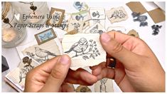 two hands are holding some paper scraps with birds on them and the words, ephemora using paper scraps to stamps