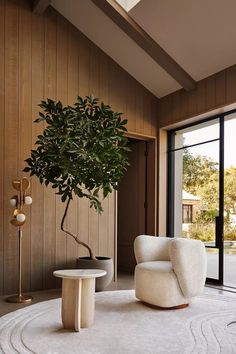 a living room with a large tree in the corner and a round rug on the floor