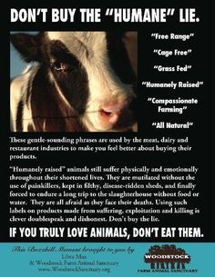 a poster with an image of a cow and the words, don't buy the humane lie