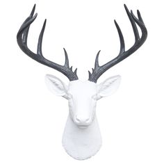 a white deer head mounted on the wall