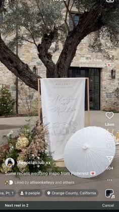 a white umbrella sitting next to a tree