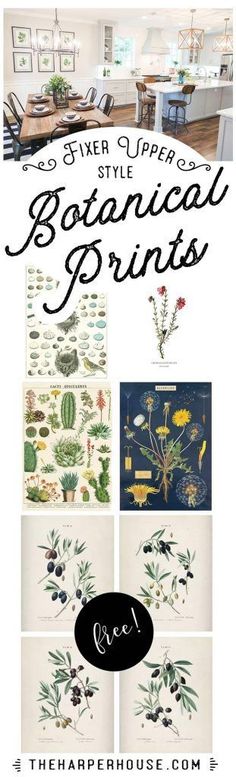 the paper house guide to botanical prints