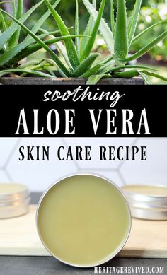 Simple Aloe Vera Salve Recipe - Heritage revived Masks For Clear Skin, Aloe Vera Recipes, Aloe Vera Lotion, Aloe Vera Powder, Aloe Vera For Skin, Aloe Vera Skin Care, Fresh Aloe Vera, Natural Aloe Vera