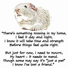 a drawing of a rabbit with the words, there's something missing in my home i feel it day and night