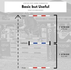 a horse jumping over an obstacle with the words basic but useful on it's side