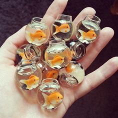 a hand holding a bunch of goldfish in small glass vases with water inside