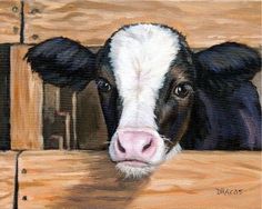 a painting of a black and white cow sticking its head over a wooden fence